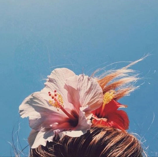 Wie du deine Carma Matte pflegst